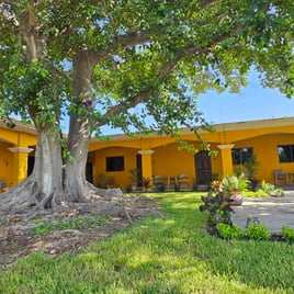 Dove Hunting 3 days / 4 nights