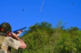 Dove Hunting 3 days / 4 nights