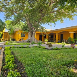 Dove Hunting 3 days / 4 nights