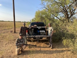 Central Texas Dove Hunts