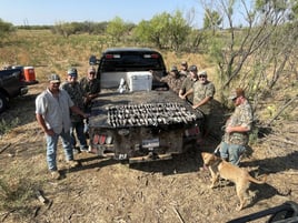 Central Texas Dove Hunts