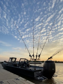 Striped Bass Smash In Abilene TX!!
