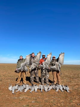 Sandhill Crane Hunt