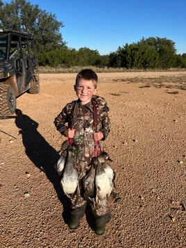 Guided TX Public Land Duck Hunt