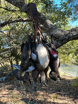 Guided TX Public Land Duck Hunt