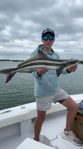 Tampa Bay Flats Fishing