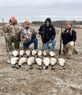 Guided Canada Goose Hunts in Minnesota