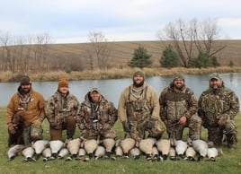 Guided Canada Goose Hunts in Minnesota