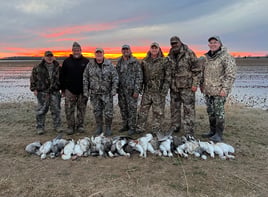Arkansas Spring Snow Goose Hunts