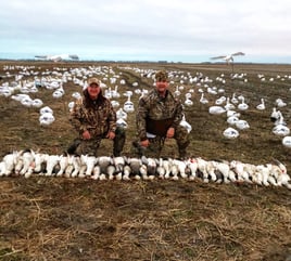 Arkansas Spring Snow Goose Hunts