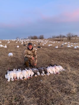 Missouri Spring Snow Goose Hunts