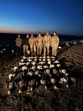 South Dakota Spring Snow Goose Hunts