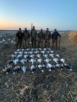 Spring Snow Goose Hunts South Dakota