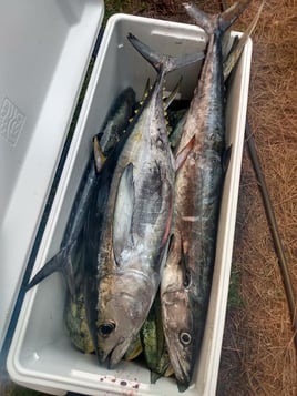 Deep Sea Full Day & Extended Trips