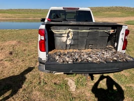Oklahoma Dove Hunts