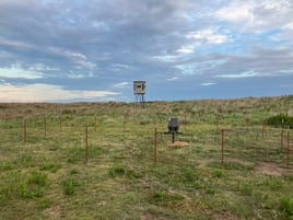 Oklahoma Dove Hunts