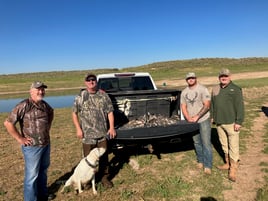 Oklahoma Dove Hunts
