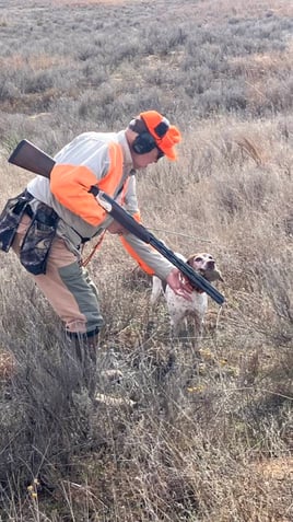 Northwest Oklahoma Quail Hunts