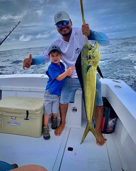 Mahi Mahi Fishing in Quepos, Costa Rica