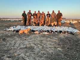 Goose Hunts W/ Lodging Available