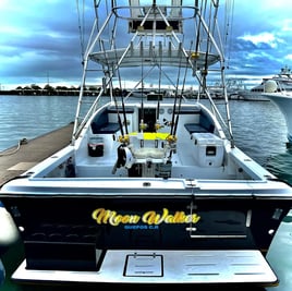 Full Day Offshore - 32'