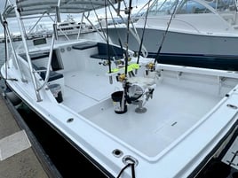 Full Day Offshore - 32'