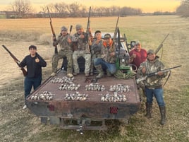 Rising Star Dove Hunts