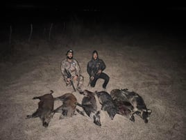 Hog Hunting in Rising Star, Texas