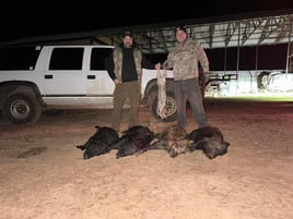 Hog Hunting in Rising Star, Texas
