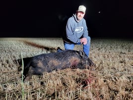 Hog Hunting in Rising Star, Texas