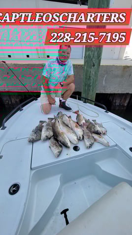 Biloxi back bay Barrier islands