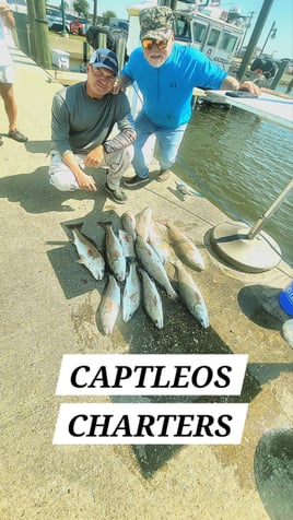 Biloxi back bay Barrier islands