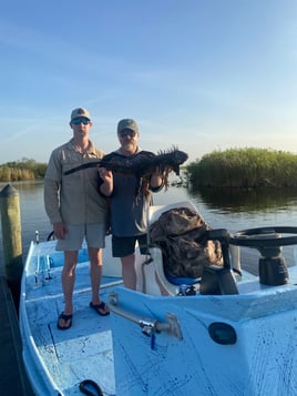 West Palm Iguana Hunting