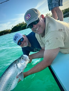 Tarpon on natural bait