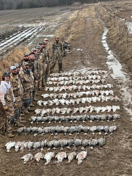 Arkansas Goose Hunts