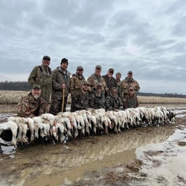 Arkansas Goose Hunts