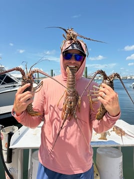 Lobster Trips