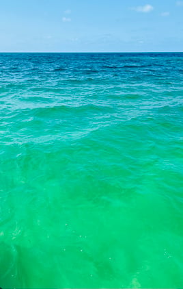 Private Full Day Sandbar Excursion