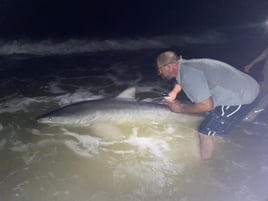 Tiger Shark Fishing in Destin, Florida