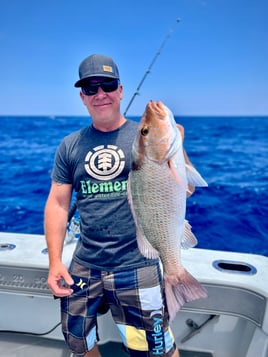 Mangrove Snapper Fishing in Miami Beach, Florida