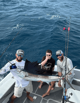 Sailfish Fishing in Miami Beach, Florida