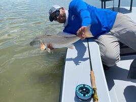 Inshore / Backcountry Light Tackle Fishing