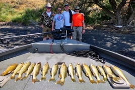 Tri Cities Columbia River Walleye 