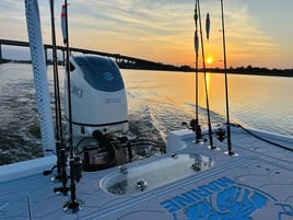 QUICK TRIP - INSHORE FISHING CHARTER