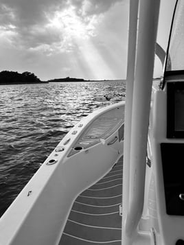 QUICK TRIP - INSHORE FISHING CHARTER