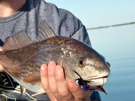 Artificials, Fly, or Bait!