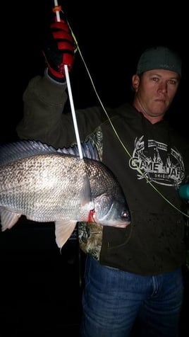 Saltwater Bowfishing Adventure