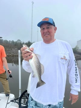 Speckled Trout Fishing in Dauphin Island, Alabama
