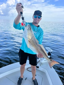 Redfish Fishing in Dauphin Island, Alabama
