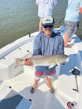 Redfish Fishing in Dauphin Island, Alabama